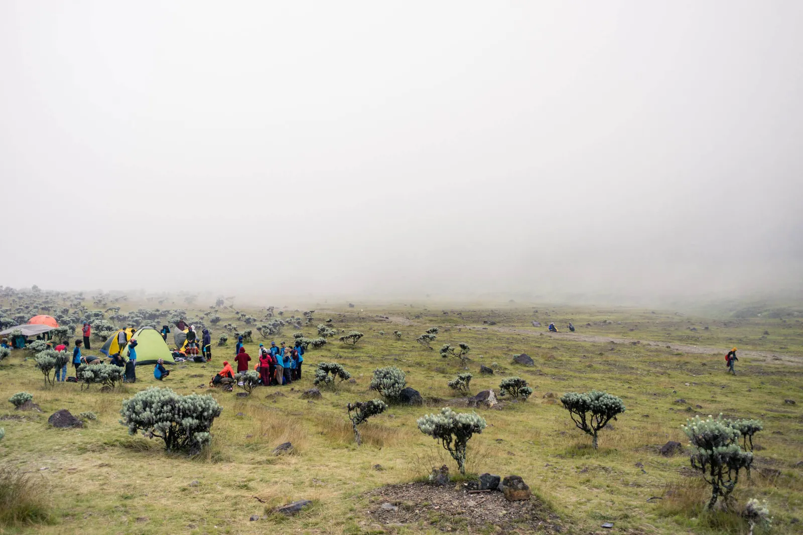 alun alun surya kencana